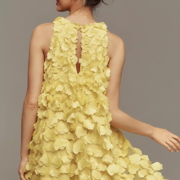 NWT Maeve Sleeveless Floral Appliqué Mini Dress Size S - Picture 2 of 5